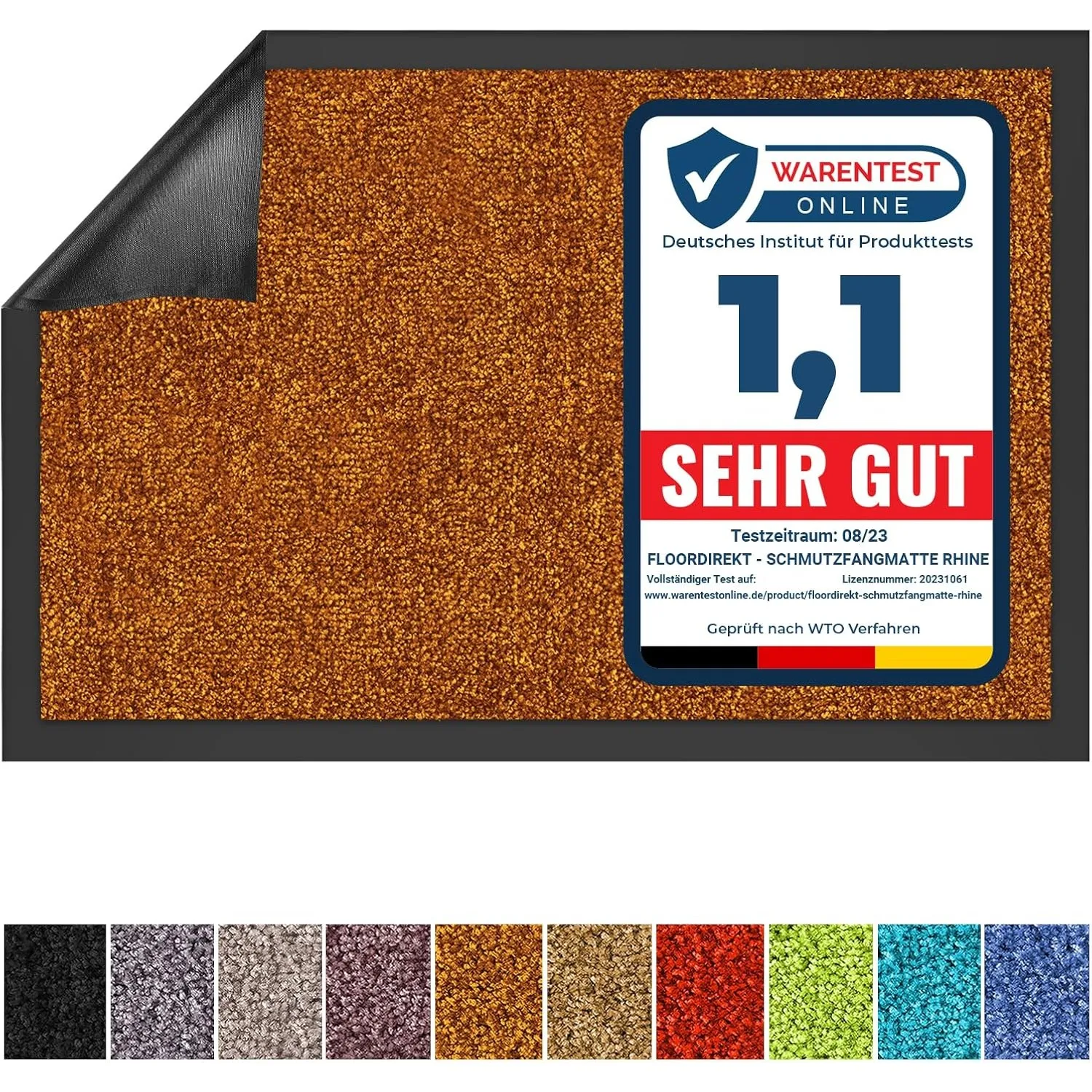 Floordirekt Schmutzfangmatte Rhine - waschbare & leistungsstarke Fußmatte - Sauberlaufmatte mit Rutschfester Rückseite …