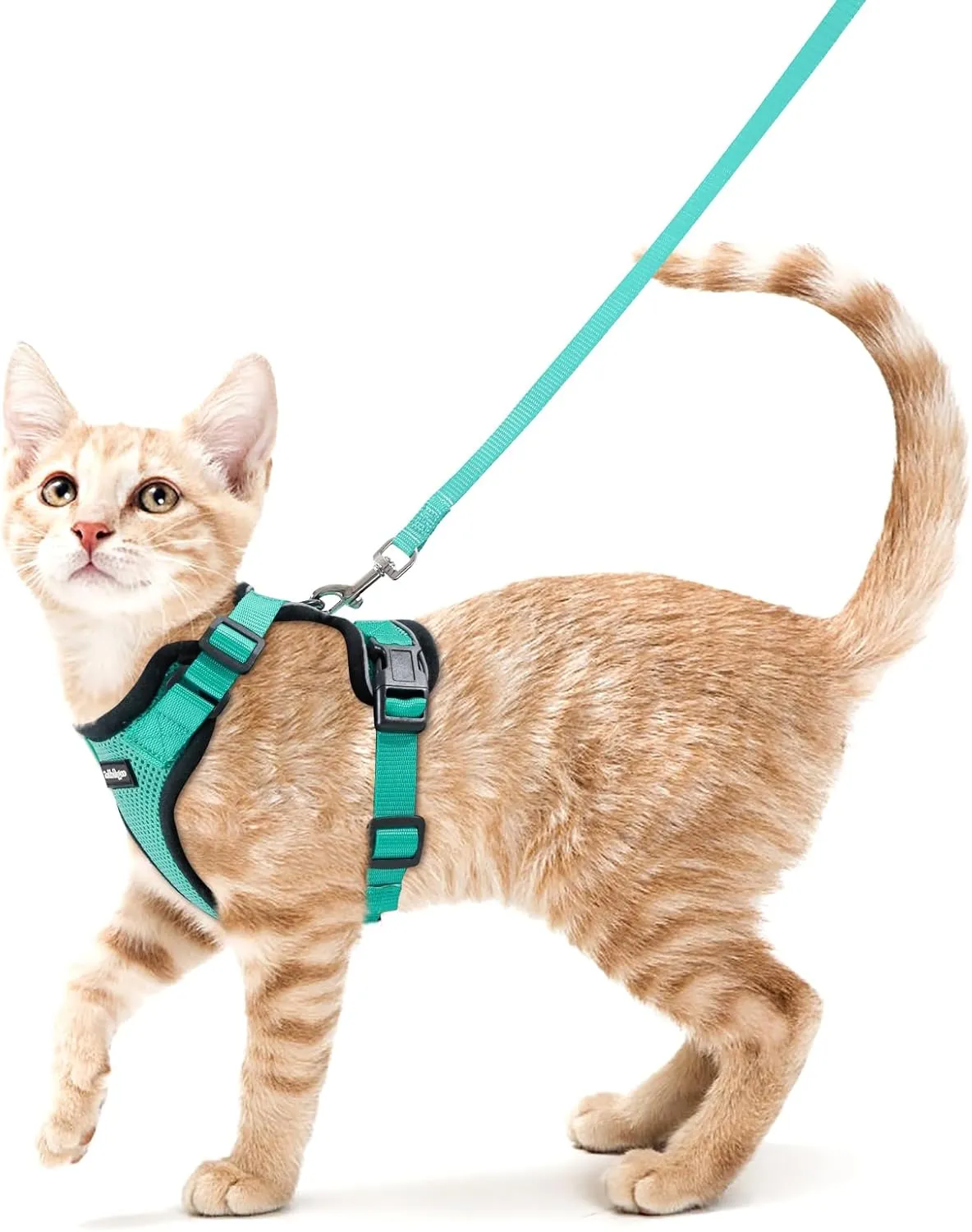 Rabbit goo cat harness with lead, escape proof cat lead, kitten puppy harness adjustable cat harness soft chest harness…