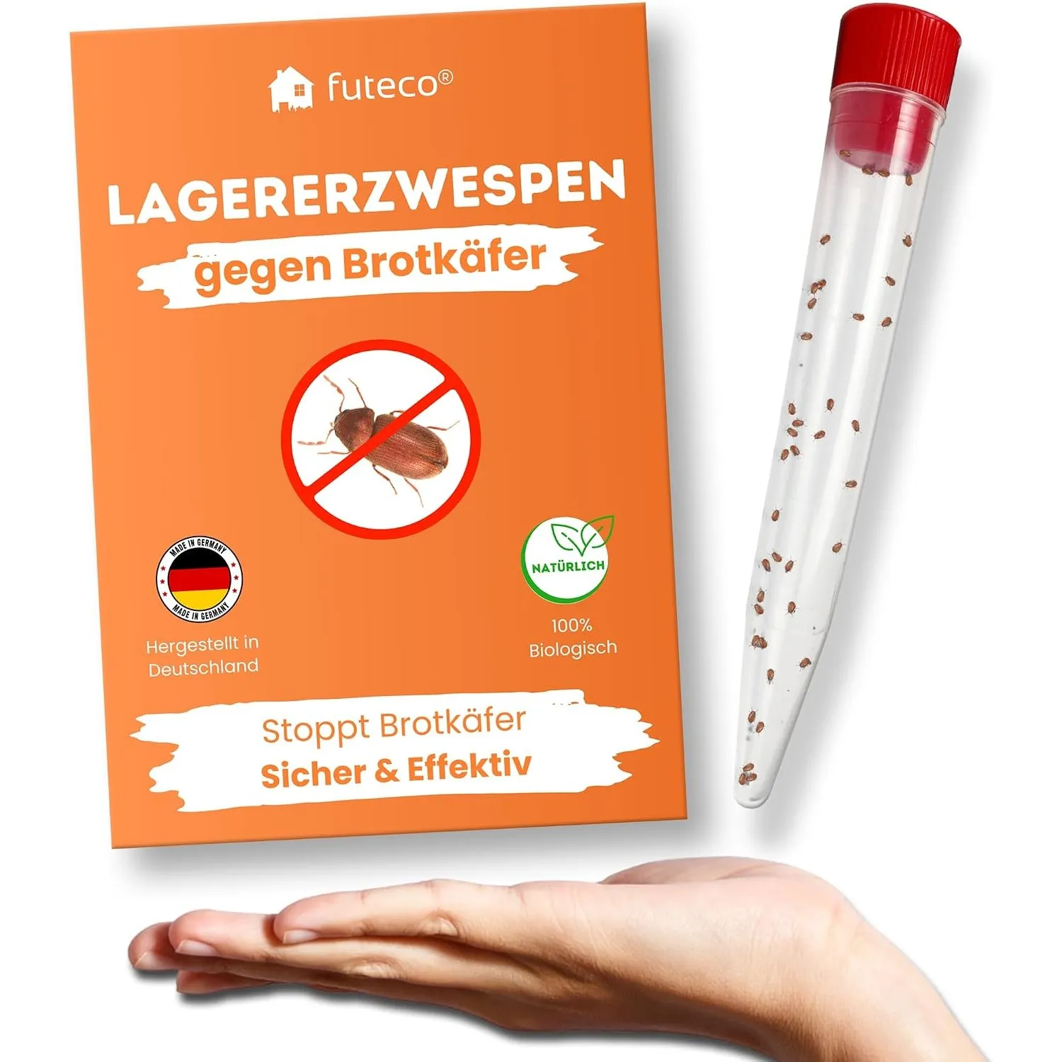 Lagererzwespen gegen Brotkäfer & Co. – ca. 40 Nützlinge für 15 m²