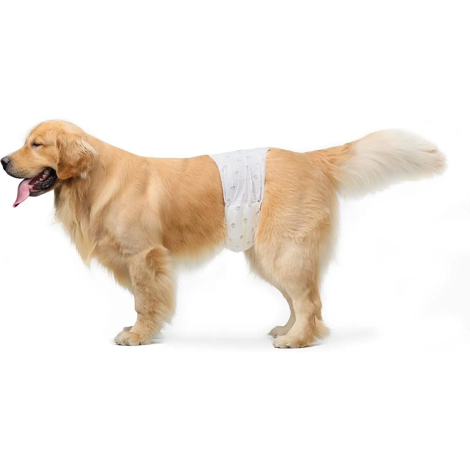 Amazon Basics Hundewindel für Rüden, Einwegwindeln, Größe L, Weiß, 50 Stück