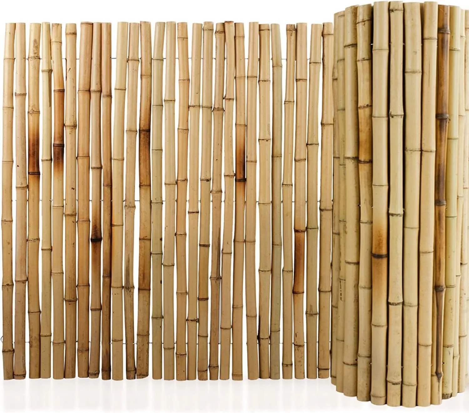 Floordirekt Bambus-Sichtschutzzaun 180 cm hoch x 200cm Naturmaterial Vollrohr Schilfrohrmatte | Schilfmatten Sichtschut…