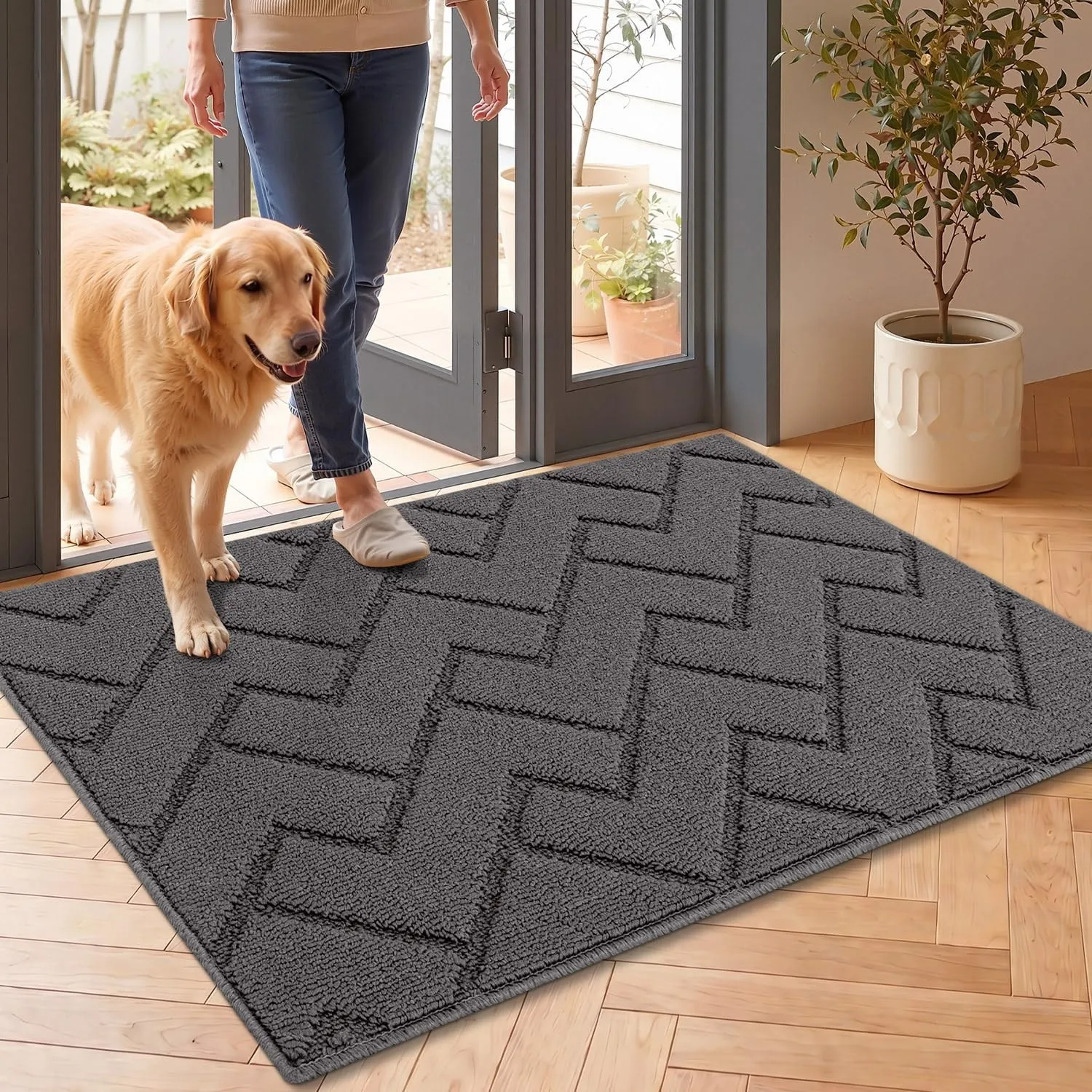 Biscpro Fußmatte Grau 60x90cm Innen und Außen, Waschbar Fussmatte, Wasserdicht Türmatte, Rutschfester Schmutzfänger Tep…