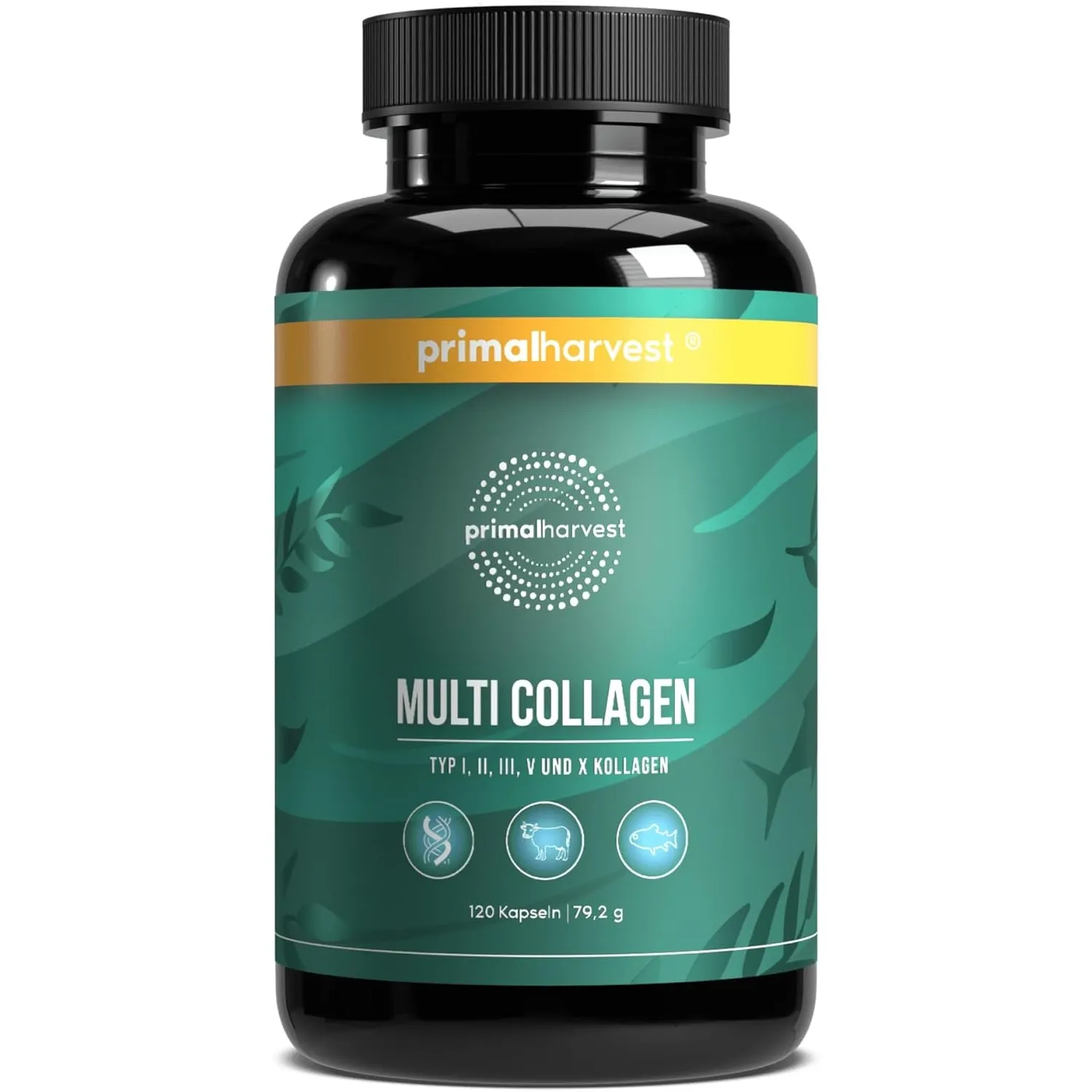 Primal Harvest Multi Collagen Nahrungsergänzungsmittel mit Kollagen Typ I, II, III, V & X, für Männer &Frauen, frei von…