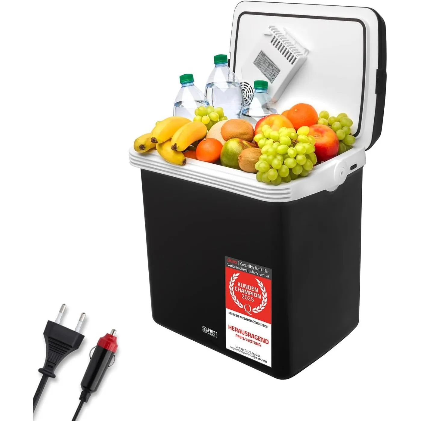 TZS First Austria - Elektrische Kühlbox 32L - Kühl- & Wärmefunktion - 12V/230V für Auto & Steckdose - Thermoelektrisch …