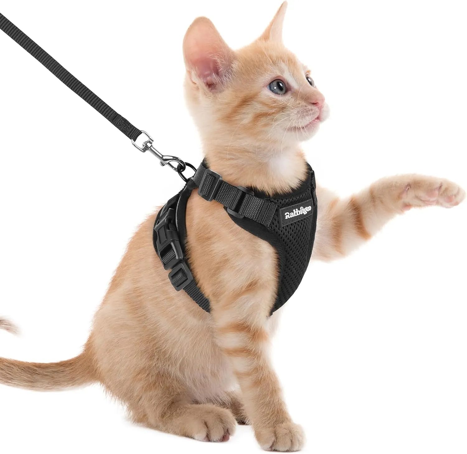 rabbitgoo Cat Harness with Lead, Escape Proof for Cats, Adjustable Chest Harness, Reflective Soft Harness with Cat Lead…