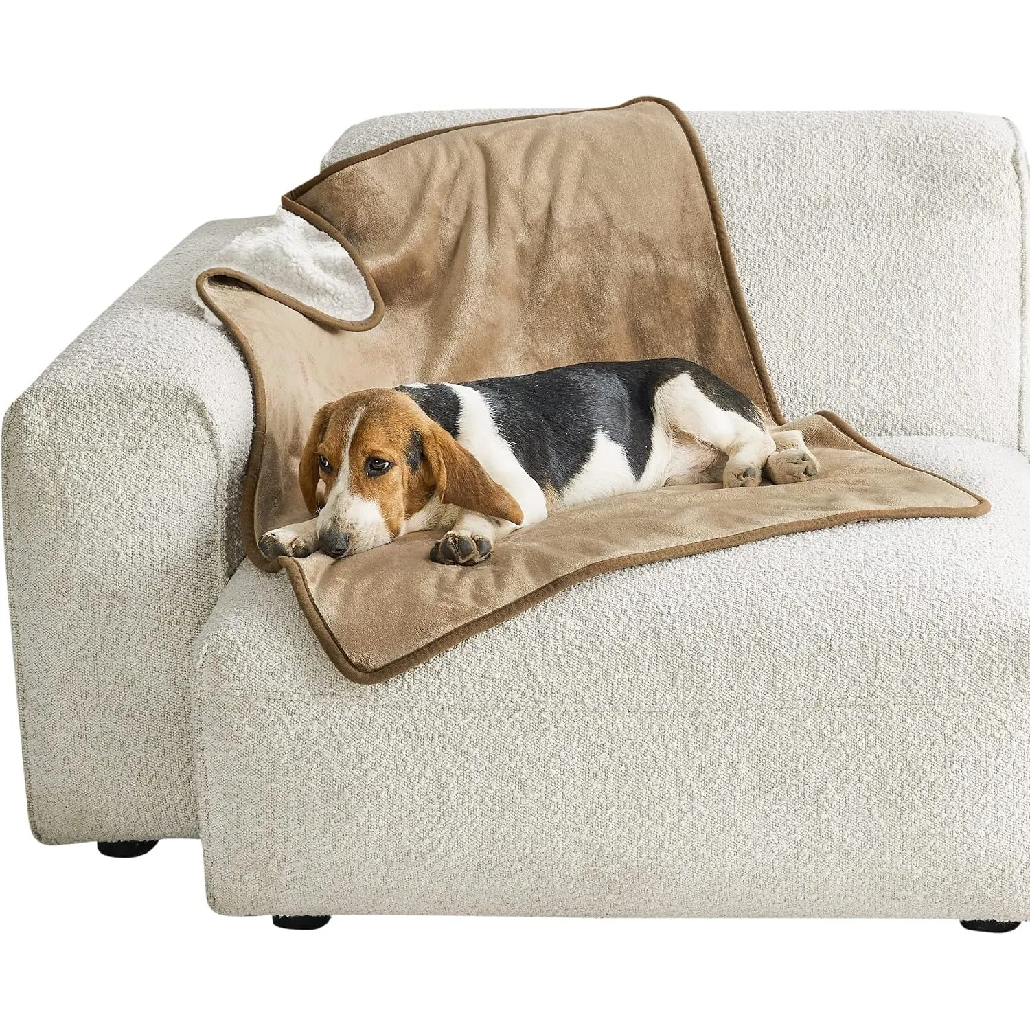 LE SURE Hundedecke Wasserdicht，80x100cm wasserdichte Decke Sofa,Kamel