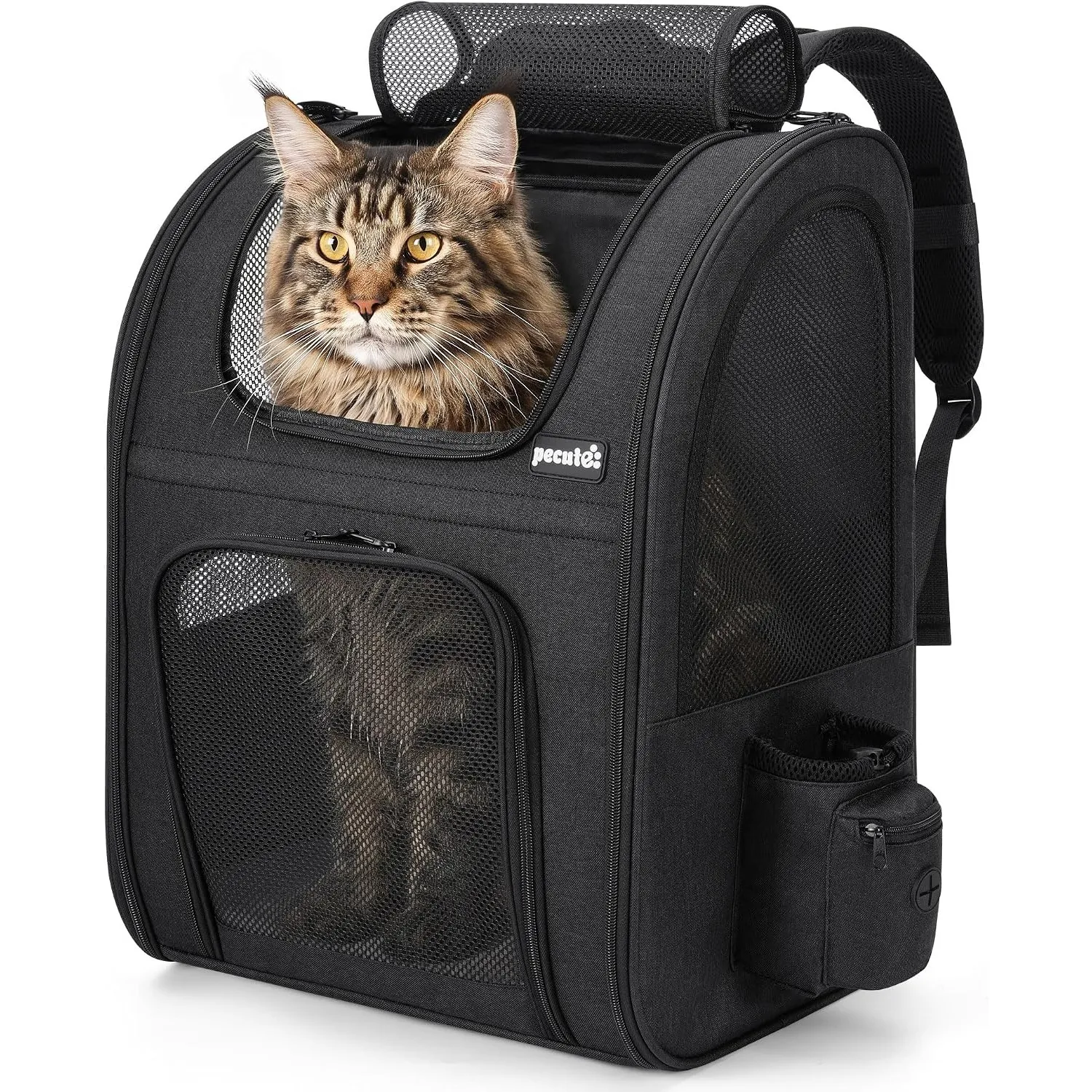 pecute Haustier Rucksack mit Netzfenster, Tragbare und Faltbare Katzentasche, Atmungsaktive und Leichte Hundetasche, Wa…