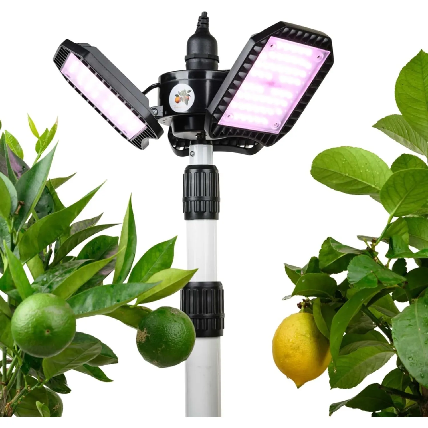 Meine Orangerie - LED-Pflanzenlampe FLEX [100W] - Vollspektrum LED Pflanzenleuchte zur Überwinterung von mediterranen P…