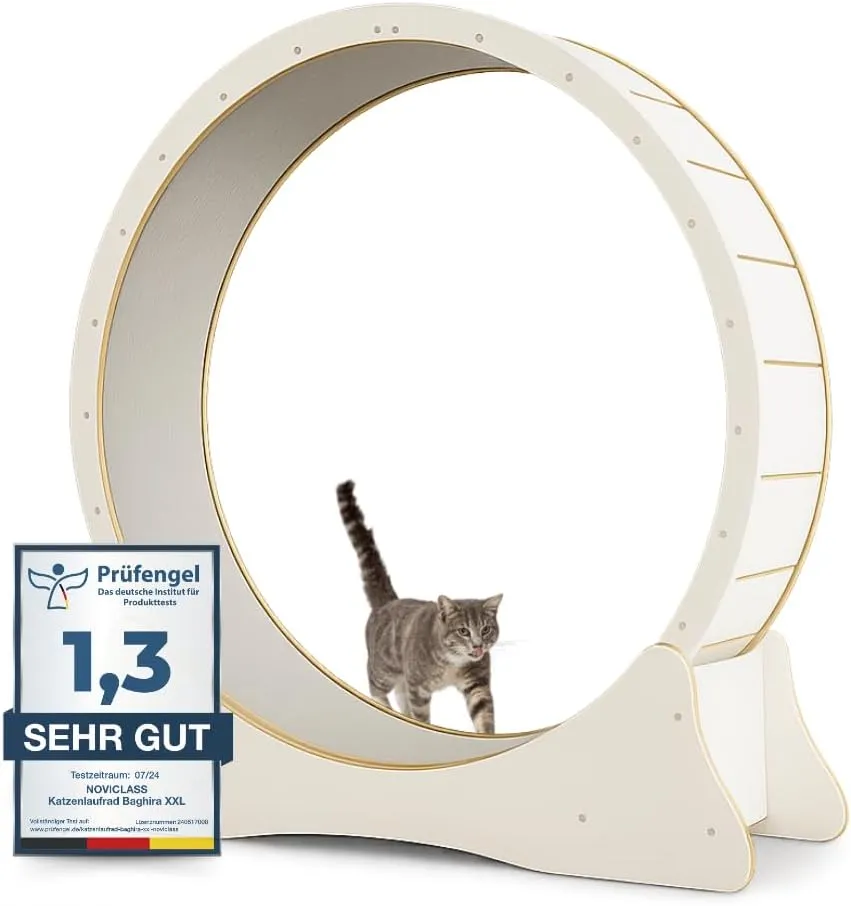 Baghira Cat Wheel, Large, XXL, 132 cm Diameter, Species-Appropriate for Large Cats, Scratch-Resistant, Stable and Quiet…