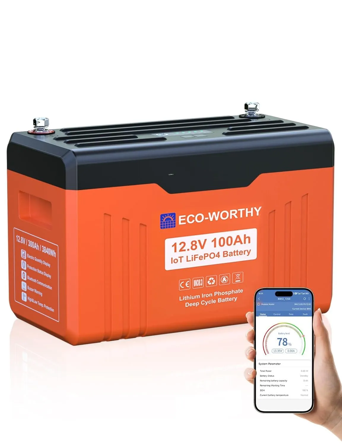 ECO-WORTHY LiFePO4 12V 100Ah mit LED-Display, Lithium Batterie 12V 100ah mit BMS Low Temperature Schutz und Max. 15000 …