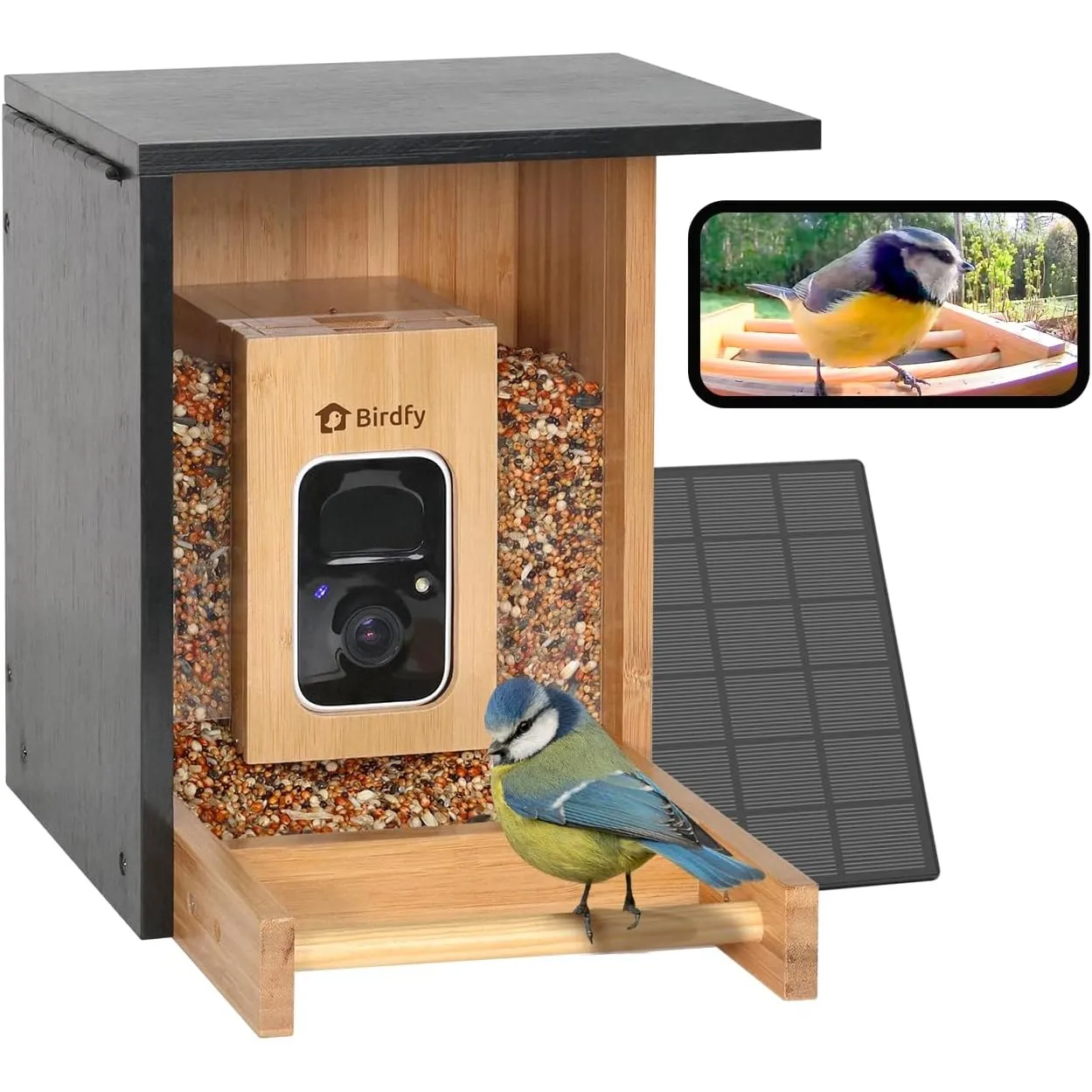 NETVUE by Birdfy Bambus Mini Vogelfutterhaus mit Kamera für Live Vogelbeobachtung, Solarbetrieb Vogelfutterspender mit …
