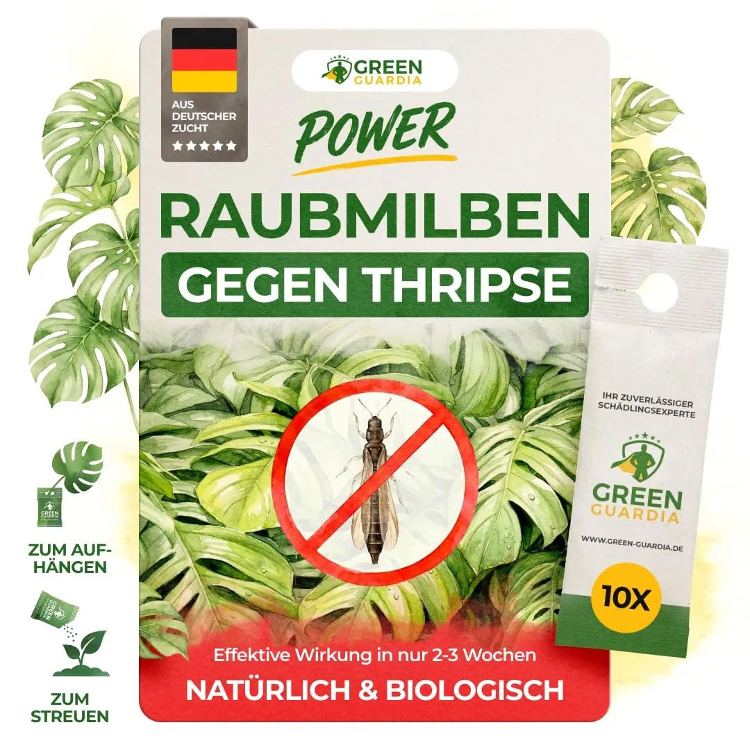 GREEN GUARDIA Power Raubmilben gegen Thripse – 10 Tüten - Biologisches Mittel zur effektiven Thripse Bekämpfung für Zim…