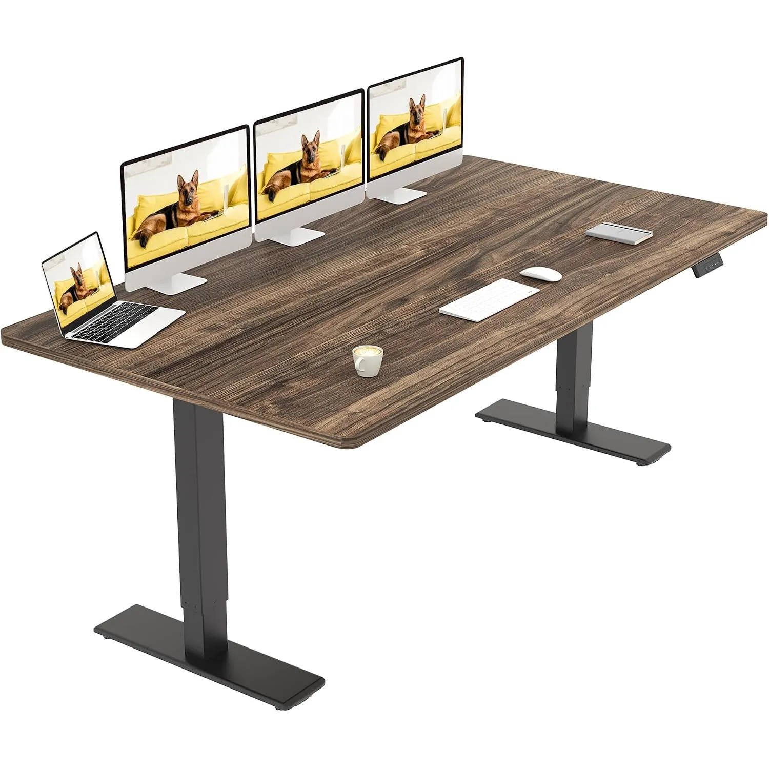 SANODESK Höhenverstellbarer Schreibtisch mit Dual-Motor 180 x 80 cm