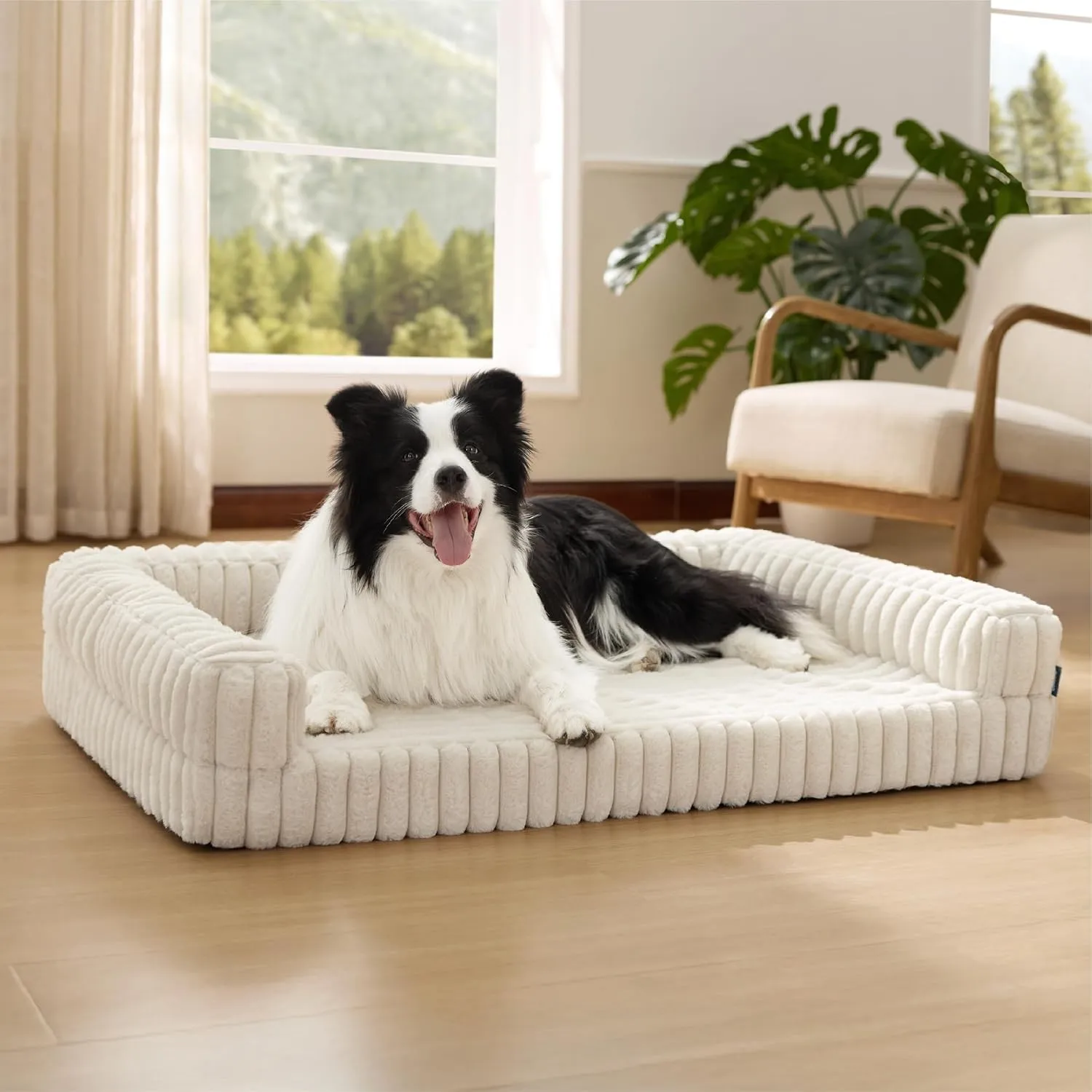 BEDSURE orthopädisches Hundebett Grosse Hunde - 89x64x18cm wasserdichtes Hundesofa mit Memory-Schaum & Eierkarton-Schau…