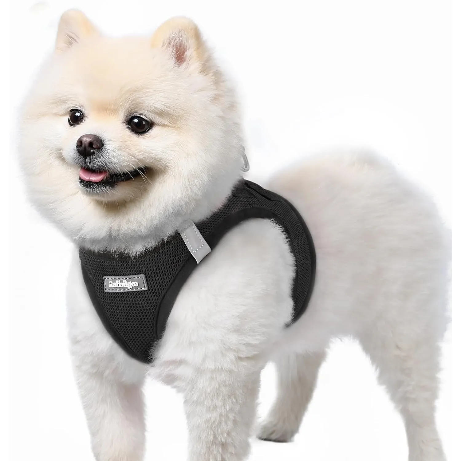 rabbitgoo Hundegeschirr Kleine Hunde, Step-in Weiches Mesh, Schwarz | Einfach anzulegen, Atmungsaktiv & Reflektierend, …