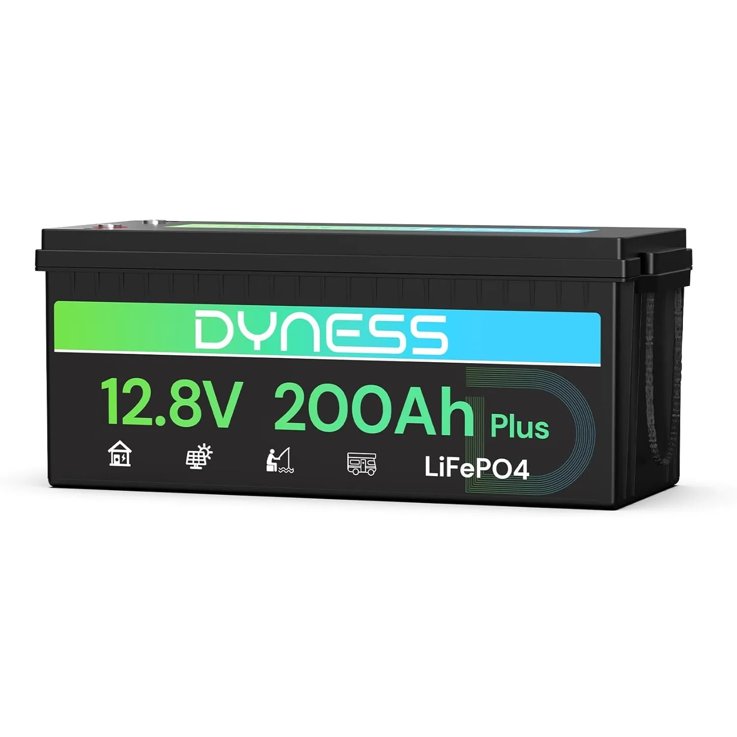 Dyness 12V 200Ah LiFePO4 Lithium Batterie mit 200A BMS und Tieftemperaturschutz, 2560Wh Lithium Marine und Wohnmobilbat…