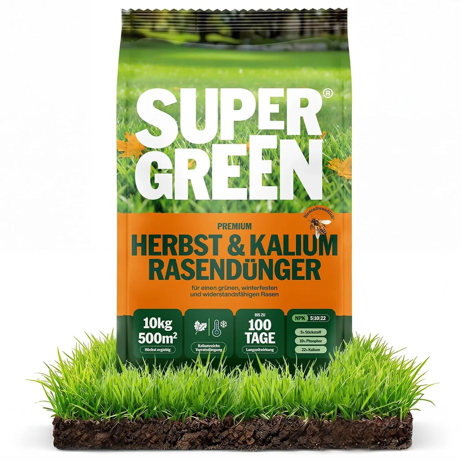 SUPERGREEN Herbst- & Kalium-Rasendünger Langzeit bis 100 Tage | 10 kg für 500m²| NPK 5-10-22 für winterharten Rasen | S…