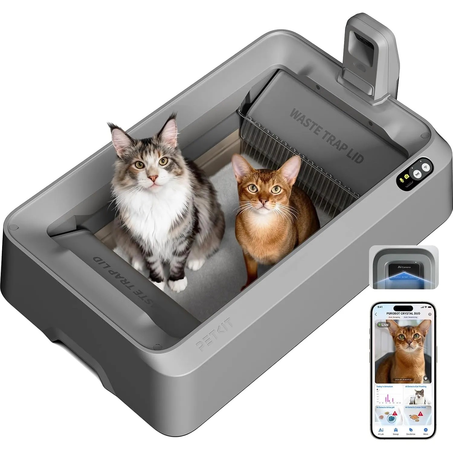 PETKIT Katzenklo Selbstreinigend,Offene Selbstreinigende Katzentoilette mit Kamera,AI-Gesundheitsüberwachung, Design fü…