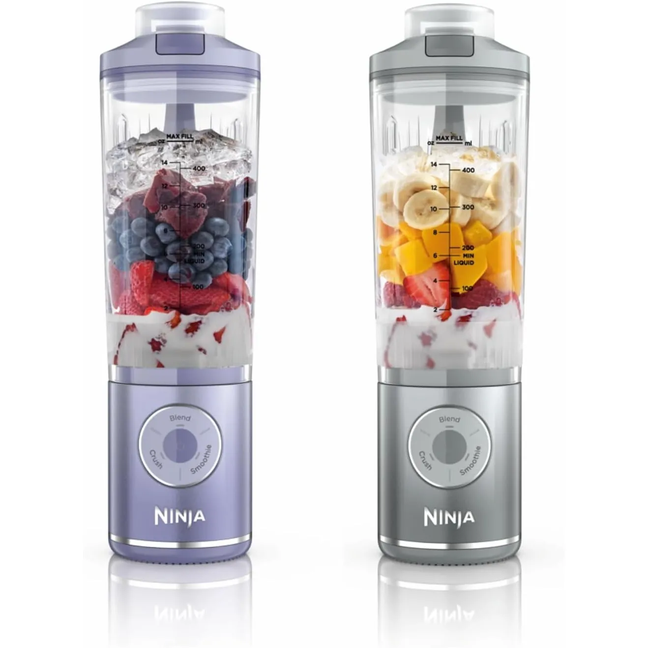 Ninja Blast Max Mixer & Smoothie Maker, 2 x 570 ml, Lavendel/Silber