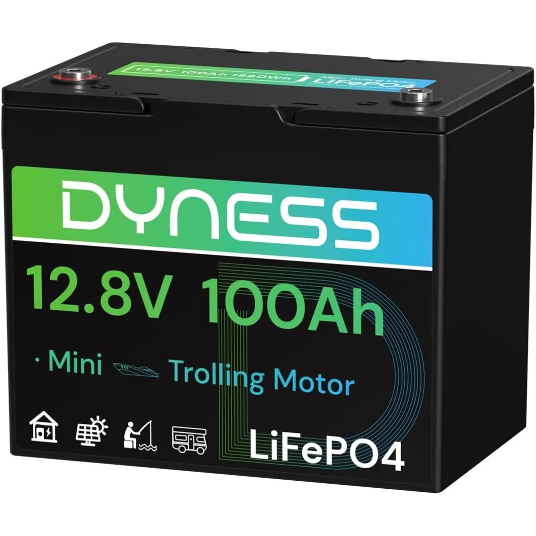 Dyness Lithium Batterie 12V 100Ah LiFePO4 Mini Akku mit 100A BMS, Max.15000 Zyklen, für Bootsmotor, Wohnwagen, Solarsys…
