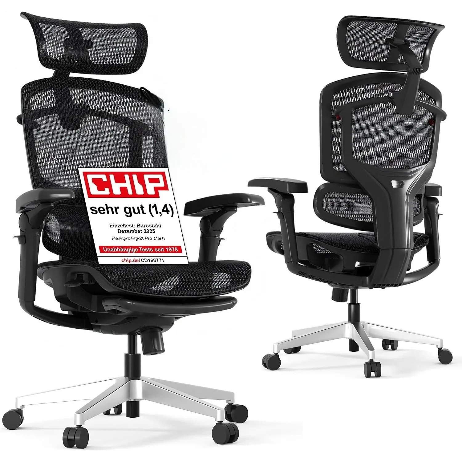 FLEXISPOT ErgoX Pro Ergonomischer Bürostuhl Schwarz
