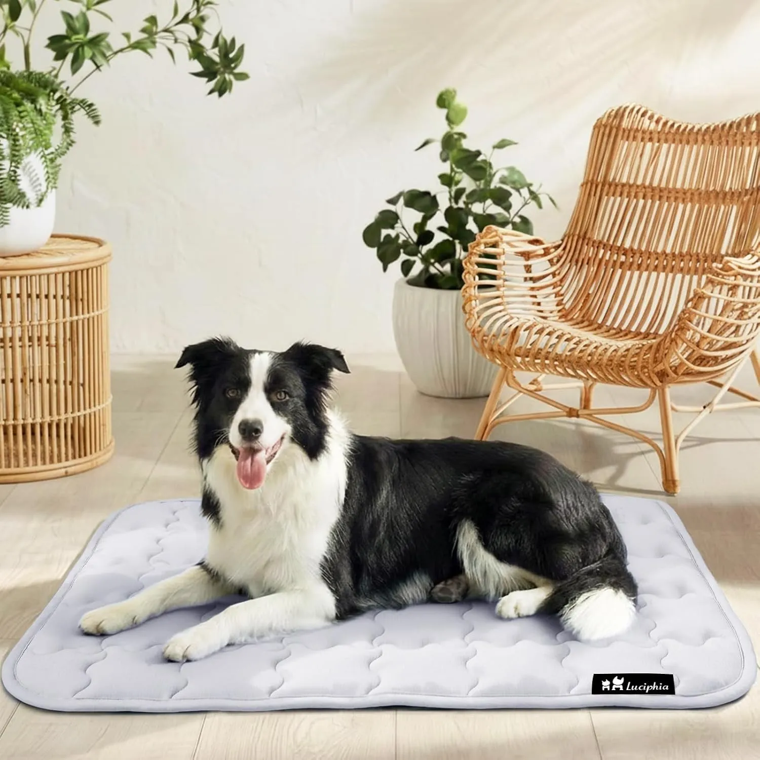 luciphia wasserdichte Kühlmatte Hunde Katzen, Selbstkühlende Hundematte | Sommer Kühlkissen Waschbar Hundebett,Kühldeck…