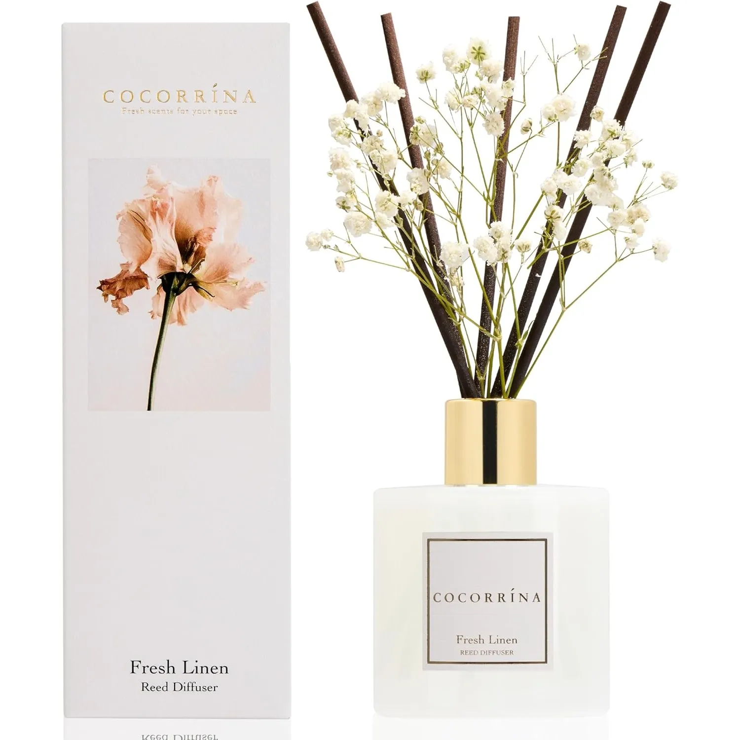 COCORRÍNA Raumduft Reed Diffuser mit 8 Duftstäbchen 200ml, Fresh Linen, Natürlich, Langanhaltend, Home Duft ätherisches…