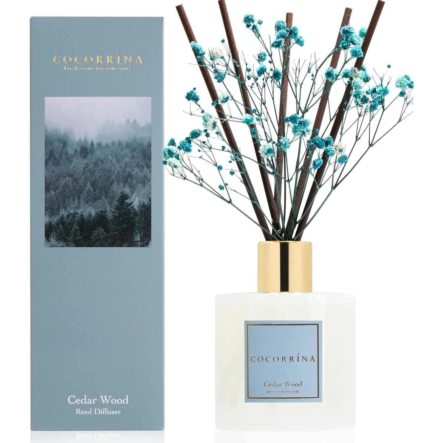 COCORRÍNA Raumduft Reed Diffuser mit 8 Duftstäbchen 200ml, Cedar Wood, Natürlich, Langanhaltend, Home Duft ätherisches …