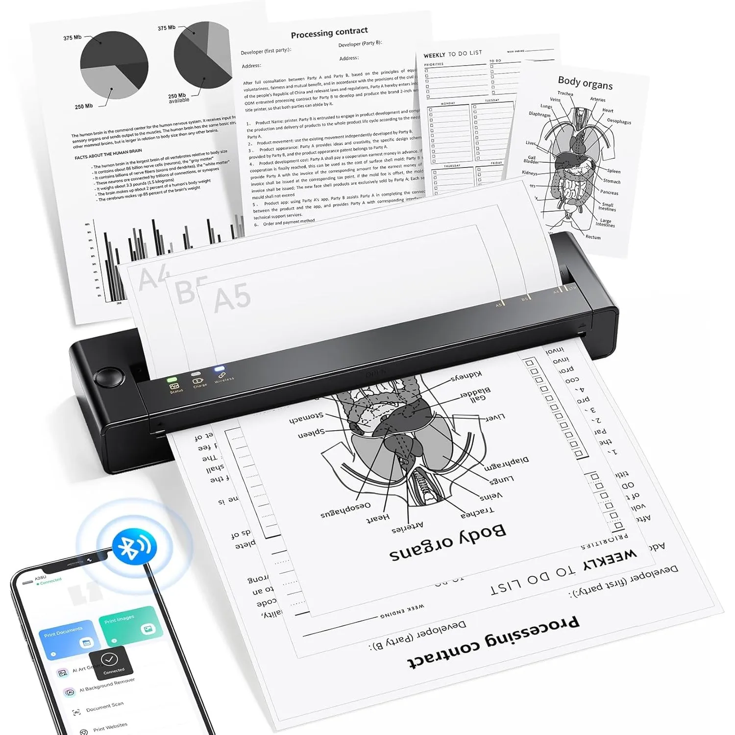 TATTMUSE Thermodrucker A4 Unterstützt das Format A5/B5, Bluetooth Drucker