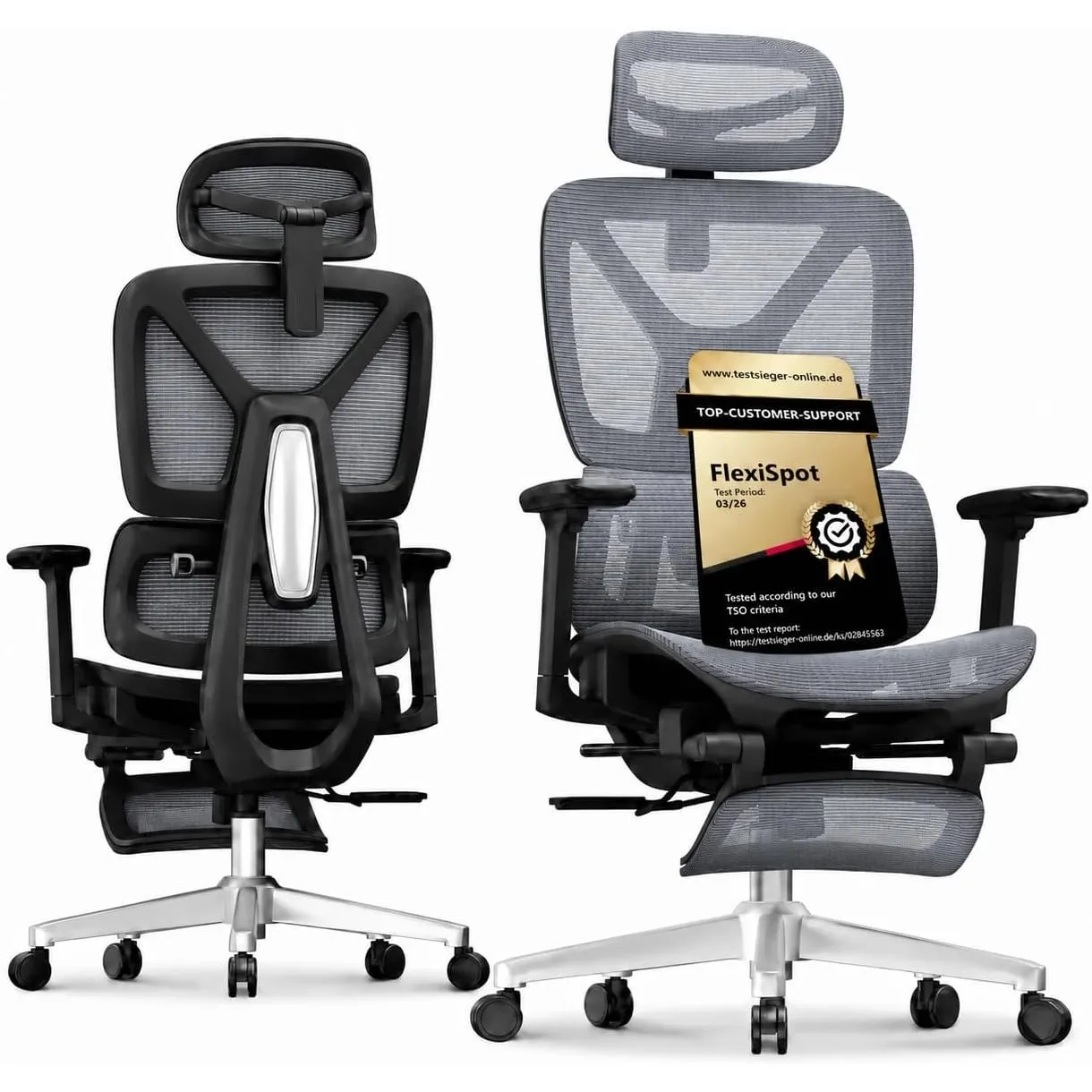 FLEXISPOT ErgoX Ergonomischer Bürostuhl mit Fußstütze Grau