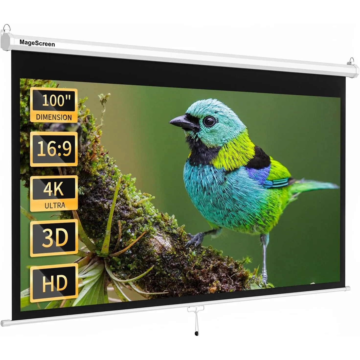 Manueller Beamer Rollo 100 Zoll (229.4 x 164 cm) 16:9 Weiß 4K HD